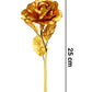 Reflective gold plated rose displayed in premium presentation box