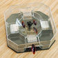 Grow Vanta Cockroach Trap Box, a non-toxic solution for pest control in Indian homes.