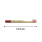 Size comparison of bamboo toothbrush showing compact design