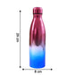 Portable and lightweight stainless steel water bottle for travel and gym