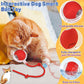Durable interactive cat toy ball with detachable braided tail component