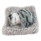 Small plush cat toy for car dashboard or home decoration
