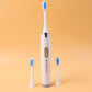 Electric toothbrush set showing toothbrush with brush heads