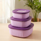 Set of kitchen food storage containers with matching stackable lids