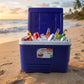 Blue portable 6L insulated ice cooler box with handle for outdoor use