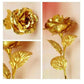 Neutral decorative image