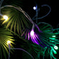 Bright multi-color LED fairy string light illuminating space