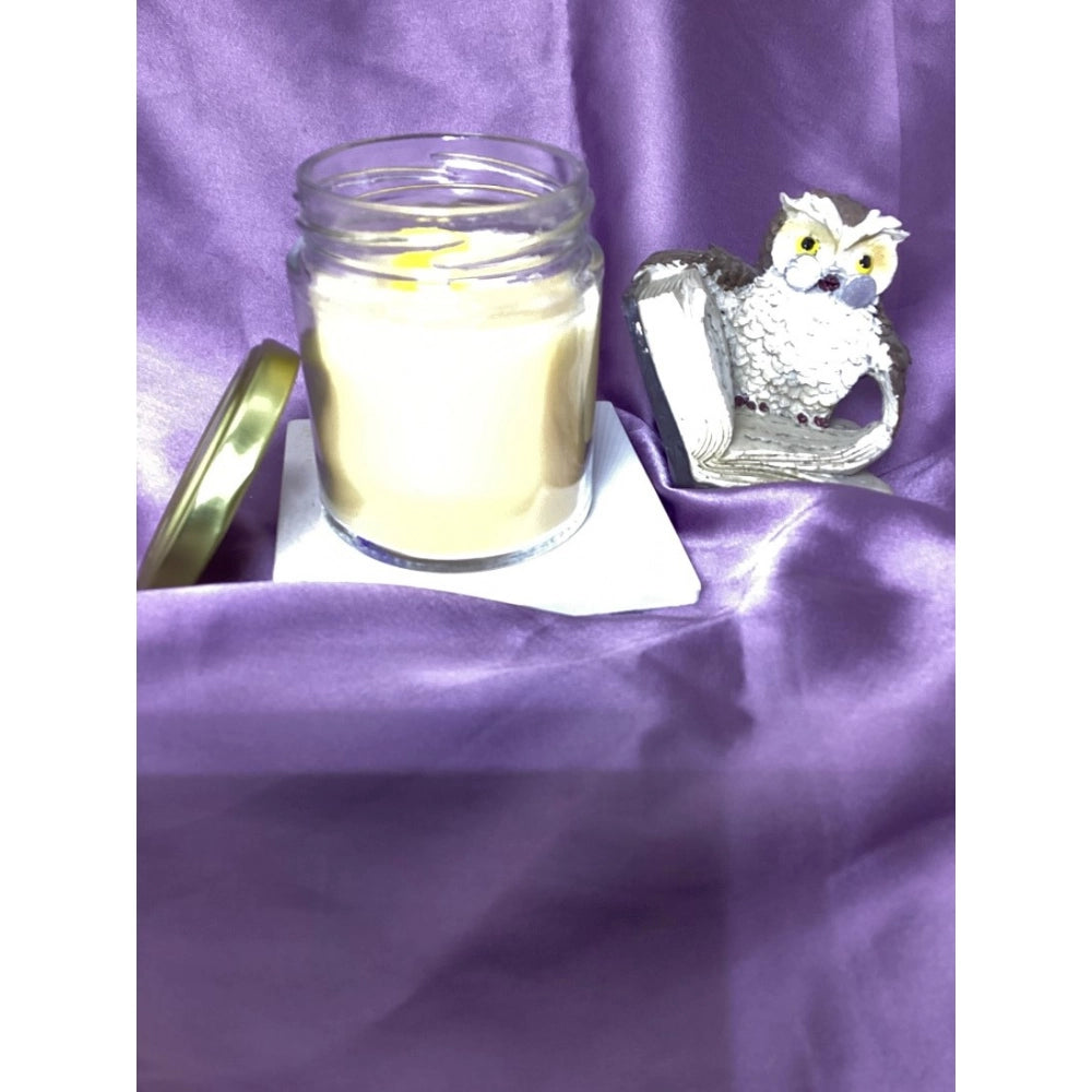 Generic Pack Of_2 Soy Wax And Bees Wax Blend Candles Liquid Volume 130