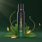 Men's charge fragrance deodorant spray in Signature brand packaging