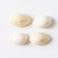 Decorative cowrie shells in mix size for rituals and craft projects