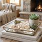 Group of assorted natural shells for decorative and craft purposes