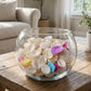 Natural decorative seashells in assorted shapes for crafts