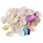 Assorted natural sea shell decorative set for home and events