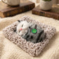 Cute plush cat showpiece placed on shelf