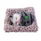 Detail shot of plush cat showpiece on desk