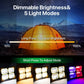 Lifestyle shot of waterproof solar flood light in garden or outdoor area