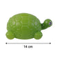 Display of small tortoise money bank size