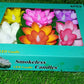 Overhead shot of a full pack of six Floating Lotus LED Candles in their retail packaging.