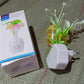 The energy-efficient mushroom night light with its auto on/off sensor in action.