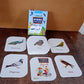 Portable bird flashcards pack ideal for preschool and speech therapy sessions