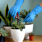 Blue waterproof rubber gloves used for kitchen cleaning