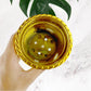 Valencia flower pot plastic planter with vibrant flower arrangement