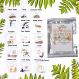 Seed packet showcasing 15 varieties vegetable seeds combo for home gardening