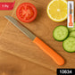 Plain knife featuring ergonomic plastic handle for secure grip and vibrant look
